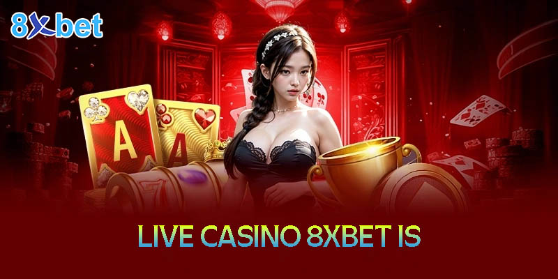 8xbet is – Thiên đường giải trí Casino trực tuyến hàng đầu