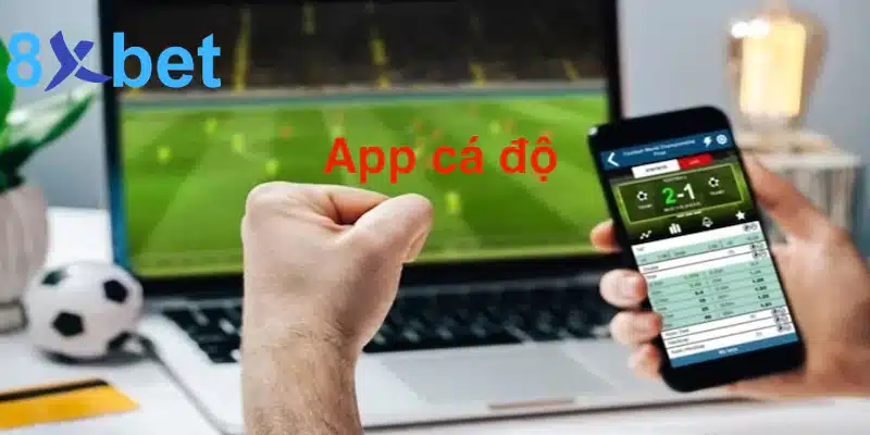 Tổng hợp app cá độ bóng đá uy tín trên thị trường hiện nay