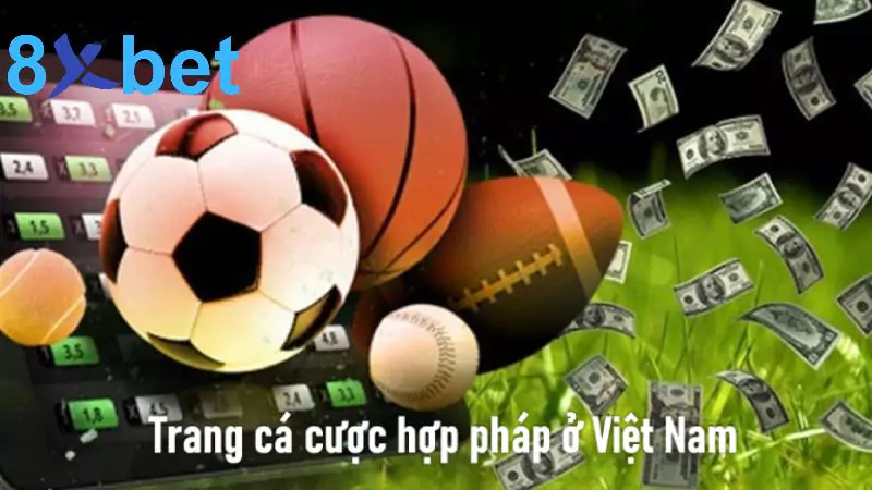 Trang cá cược hợp pháp ở Việt Nam uy tín nhất